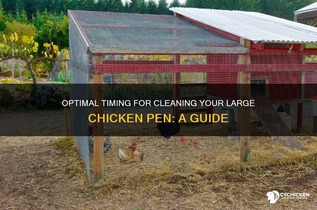 when to clean out large chicken pen