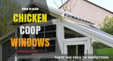 Optimal Timing for Closing Chicken Coop Windows: A Guide