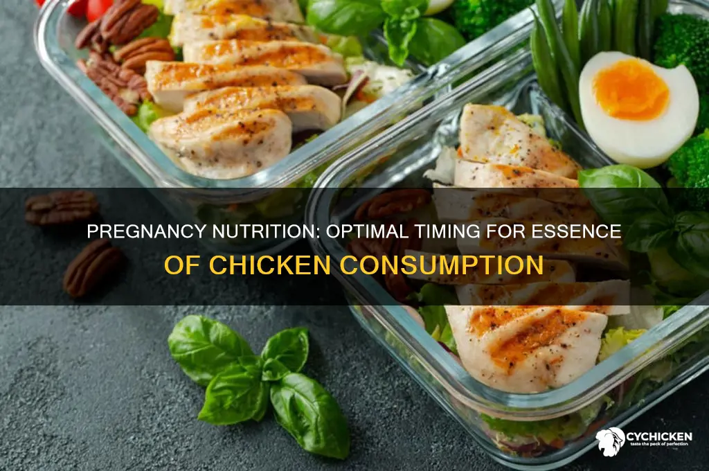 when to drink essence of chicken when pregnant