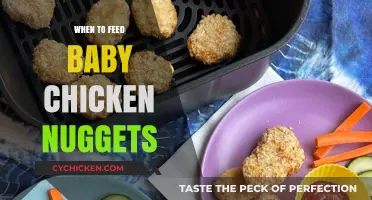 Introducing Chicken Nuggets to Your Baby: Timing and Tips for Parents