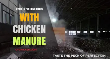 Optimal Timing for Applying Chicken Manure to Fertilize Fields
