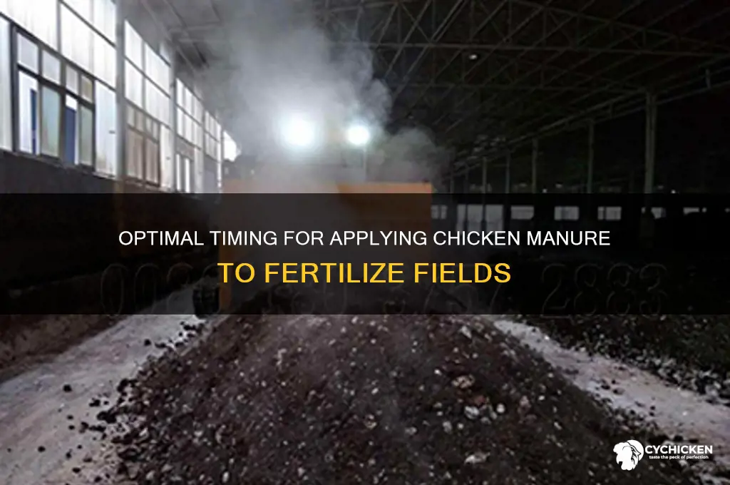 when to fertilize fields with chicken manure