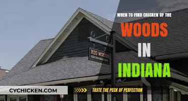 Finding Chicken of the Woods in Indiana: A Seasonal Guide