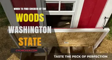 Finding Chicken of the Woods in Washington State