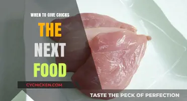 When to Transition Chicks to the Next Food Stage