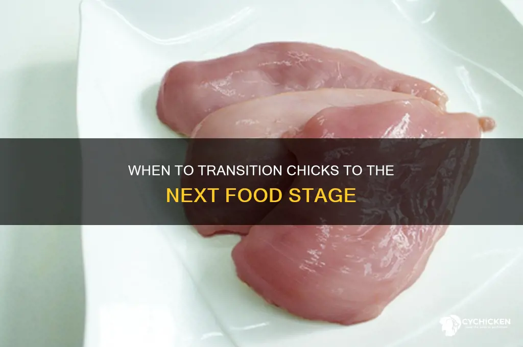 when to give chicks the next food