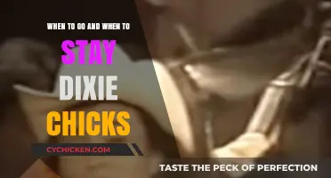 Stay or Go? Dixie Chicks' Dilemma