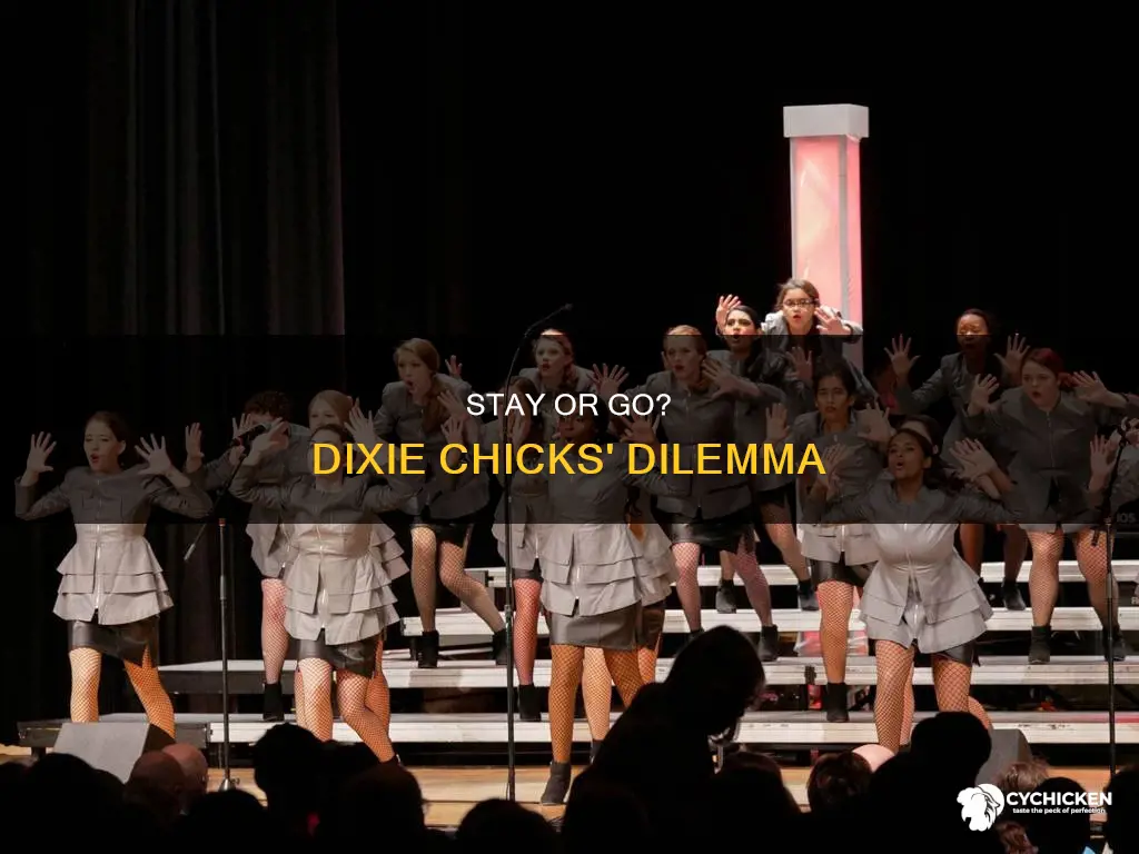 when to go and when to stay dixie chicks