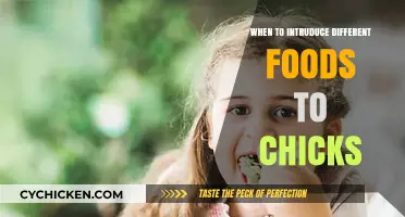 Introducing Chicks to New Foods: A Step-by-Step Guide