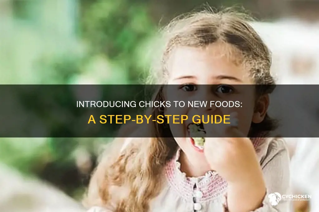 when to intruduce different foods to chicks