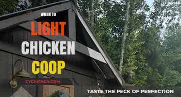 Illuminating Insights: Optimal Lighting for Your Chicken Coop