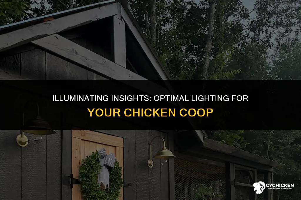 when to light chicken coop