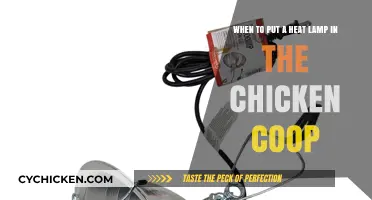Optimizing Chicken Coop Comfort: The Heat Lamp Dilemma
