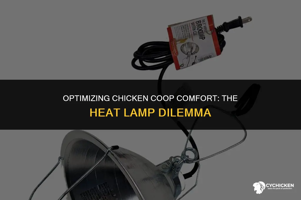 when to put a heat lamp in the chicken coop