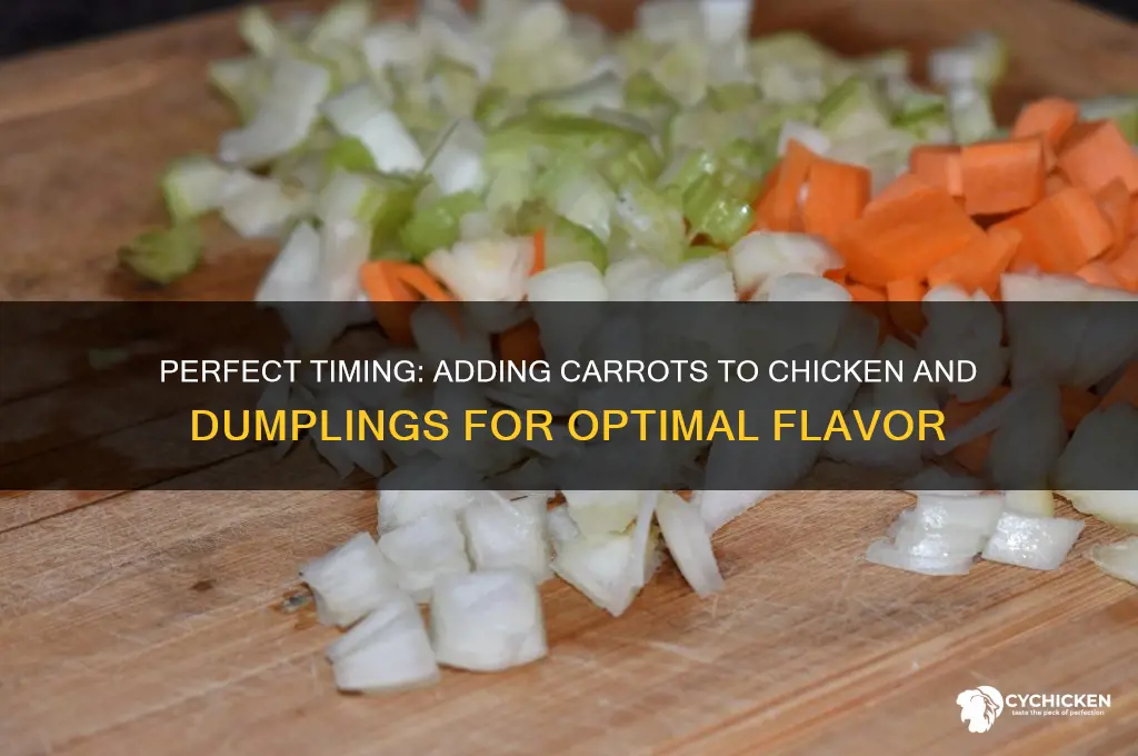 when to put carrots in chicken and dumplings
