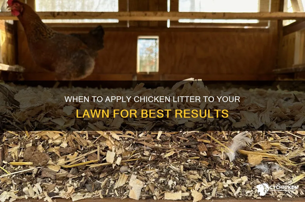 when to put chicken litter on lawn