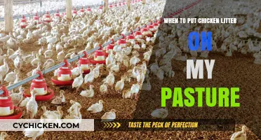 Optimal Timing for Applying Chicken Litter to Enhance Pasture Health