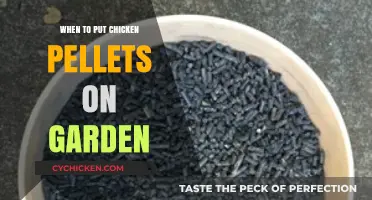 When to Use Chicken Pellets in Your Garden for Optimal Growth