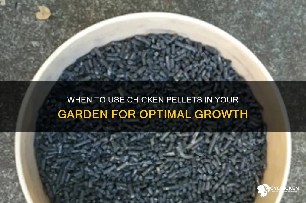 when to put chicken pellets on garden