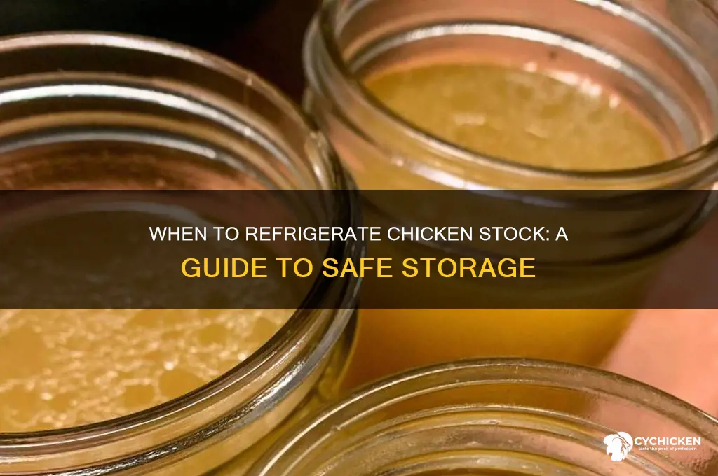 when to put chicken stock in fridge