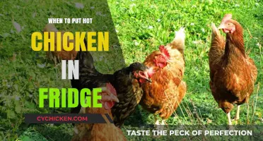 Cooling Hot Chicken: Best Time to Refrigerate Safely