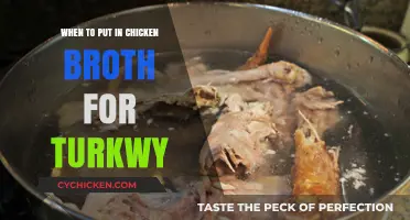 Perfect Timing: When to Add Chicken Broth to Your Turkey Recipe