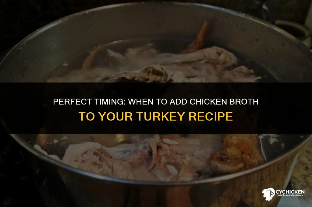 when to put in chicken broth for turkwy