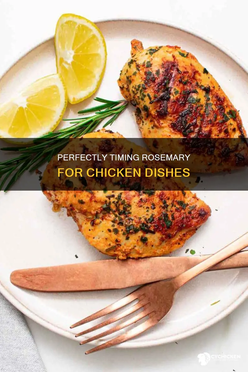 when to put rosemary on chicken so it doesn