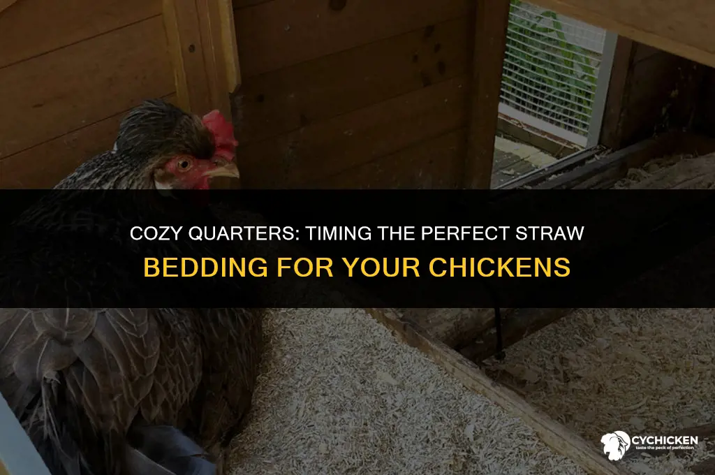 when to put straw down in the chicken coop