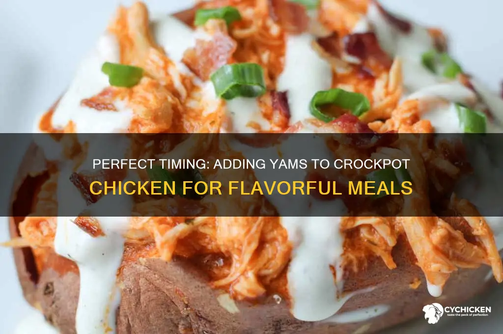 when to put yams in crockpot with chicken