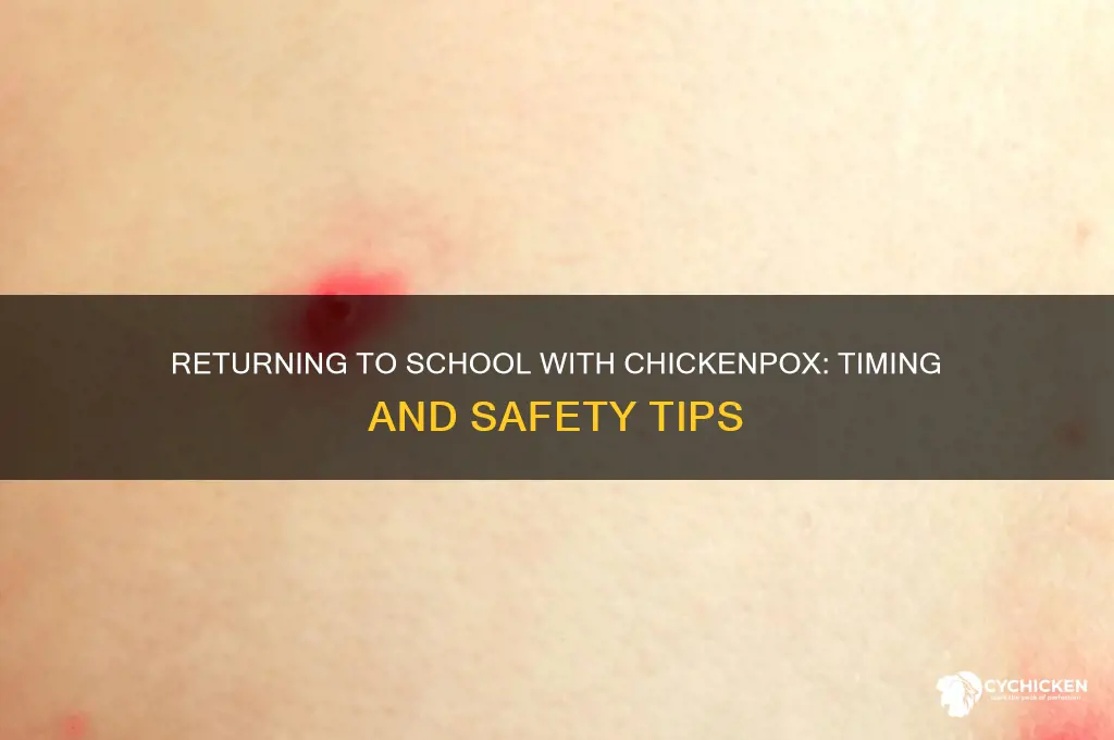 when to return to school with chicken pus