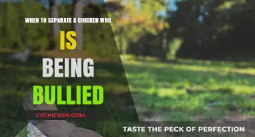 Separating Bullied Chickens: When and Why to Intervene