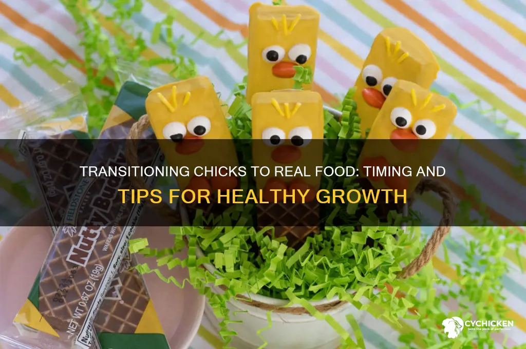 when to start chicks on real food