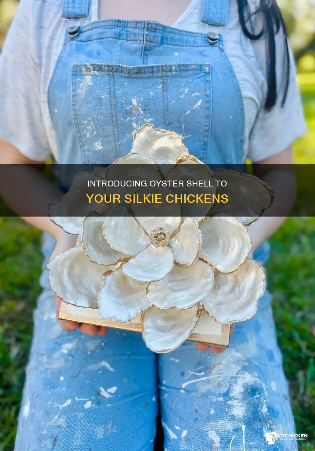 when to start giving oster shell to silkie chicken