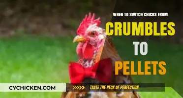 Transitioning Chicks: When to Switch from Crumbles to Pellets