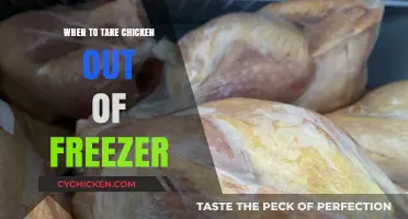 Perfect Thawing: When to Take Chicken Out of the Freezer
