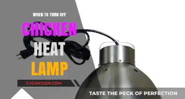 When to Safely Turn Off Your Chicken Heat Lamp: A Guide