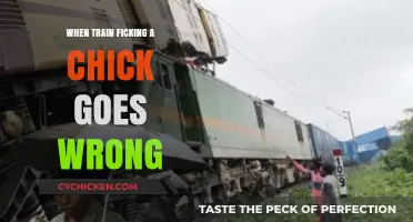 Train Tracking Gone Awry: Risks and Consequences of Missteps