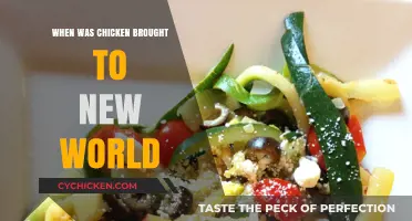 The Journey of Chicken: When It Reached the New World