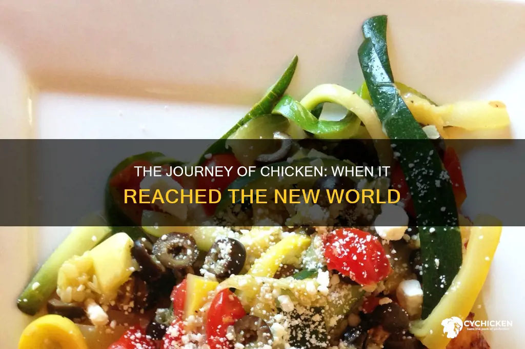 when was chicken brought to new world