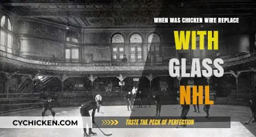 NHL's Evolution: Replacing Chicken Wire with Glass in Hockey History