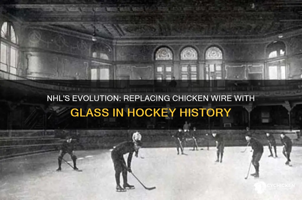 when was chicken wire replace with glass nhl