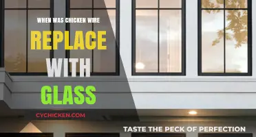 From Chicken Wire to Glass: The Evolution of Window Materials
