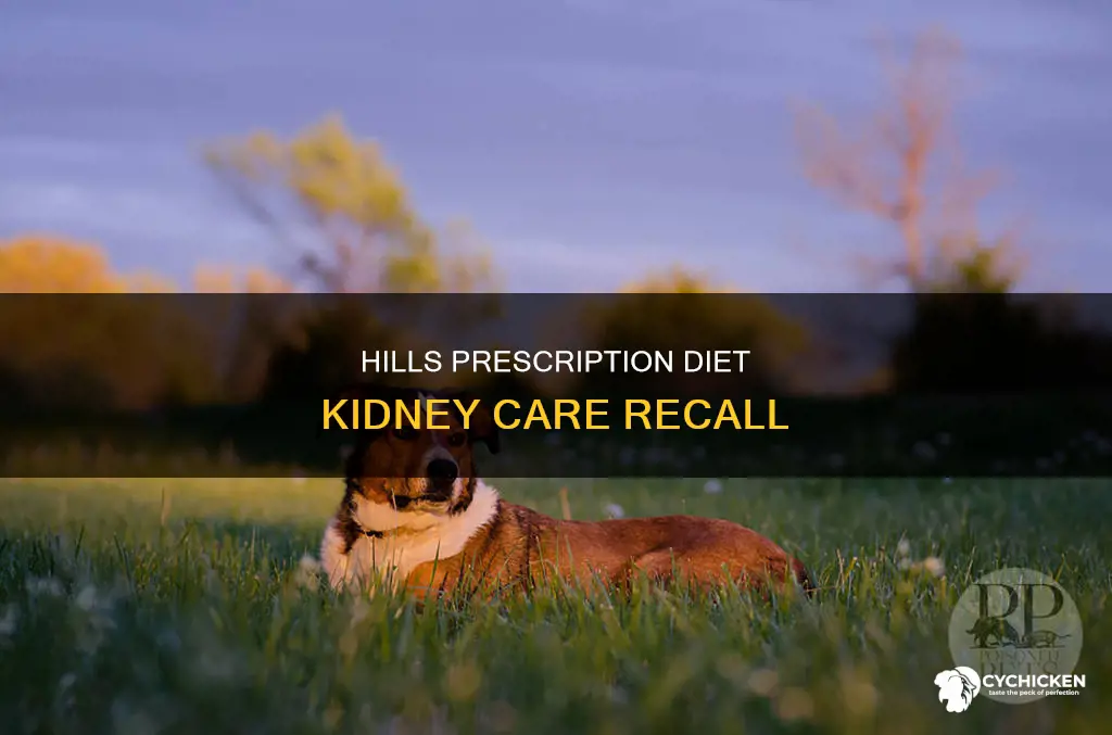 when was hills presciption diet kidney care with chicken recalled