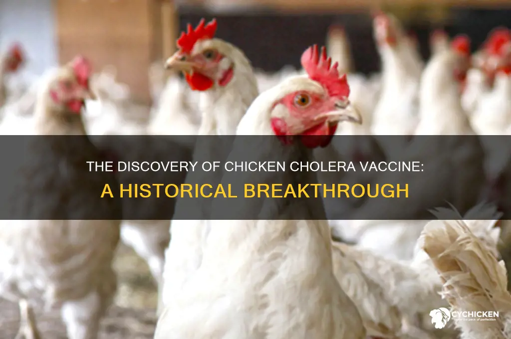 when was the chicken cholera vaccine discovered