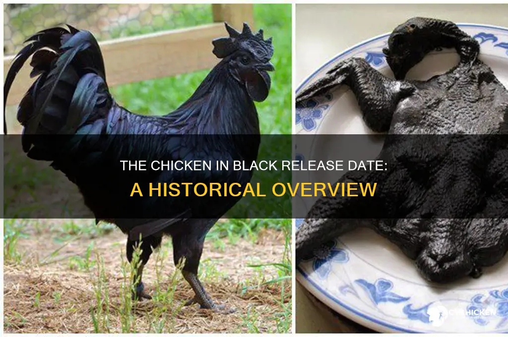 when was the chicken in black released