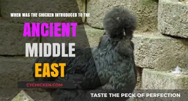 The Ancient Middle East's Chicken Debut