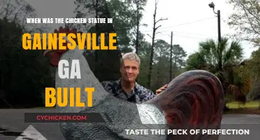 Gainesville's Giant Chicken: A Historical Landmark's Origin