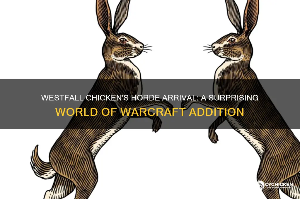 when was the westfall chicken added to horde