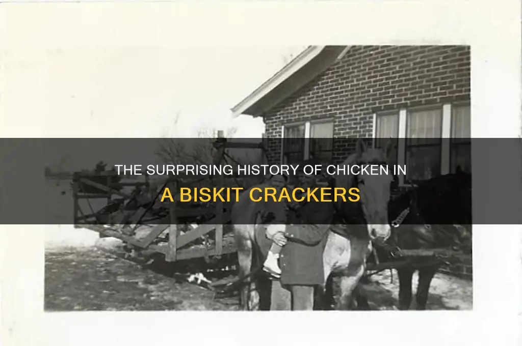 when were chicken in a biskit crackers invented